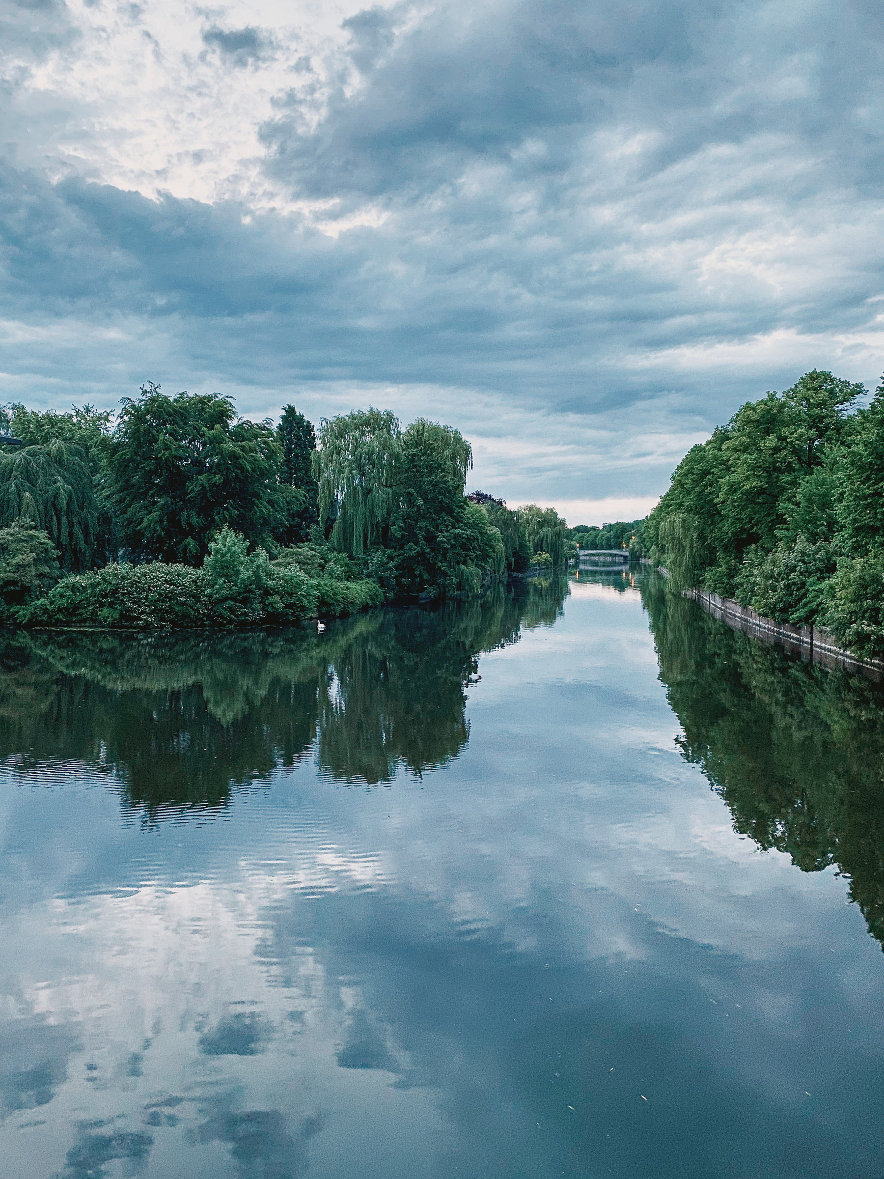 Trees on a Hill Reflected on Alster River